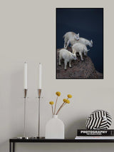Panic on Titanic II Poster och Canvastavla