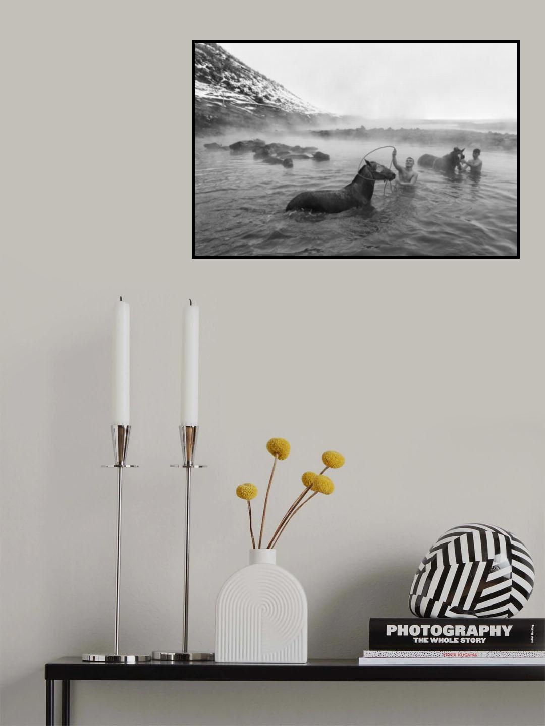 Washing the Horse Poster och Canvastavla
