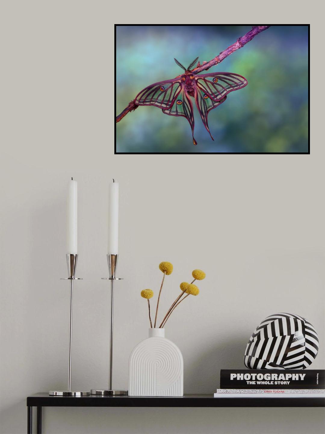 Stained glass moth Poster och Canvastavla