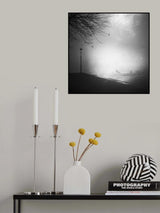 In a Mist Poster och Canvastavla