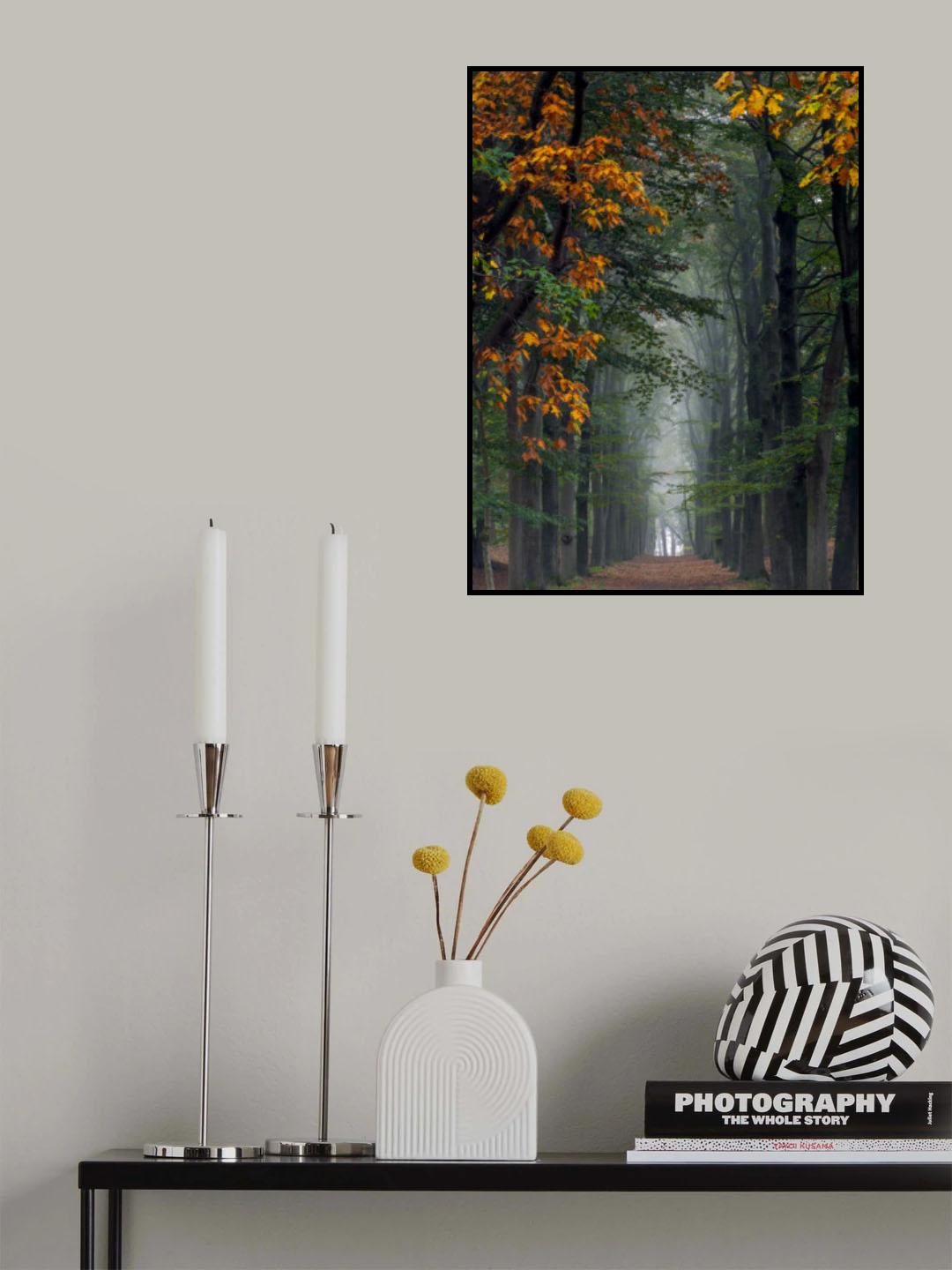 Landgoed Zoomland Poster och Canvastavla