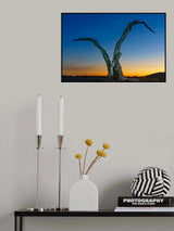 2016.46 - Under African skies Poster och Canvastavla