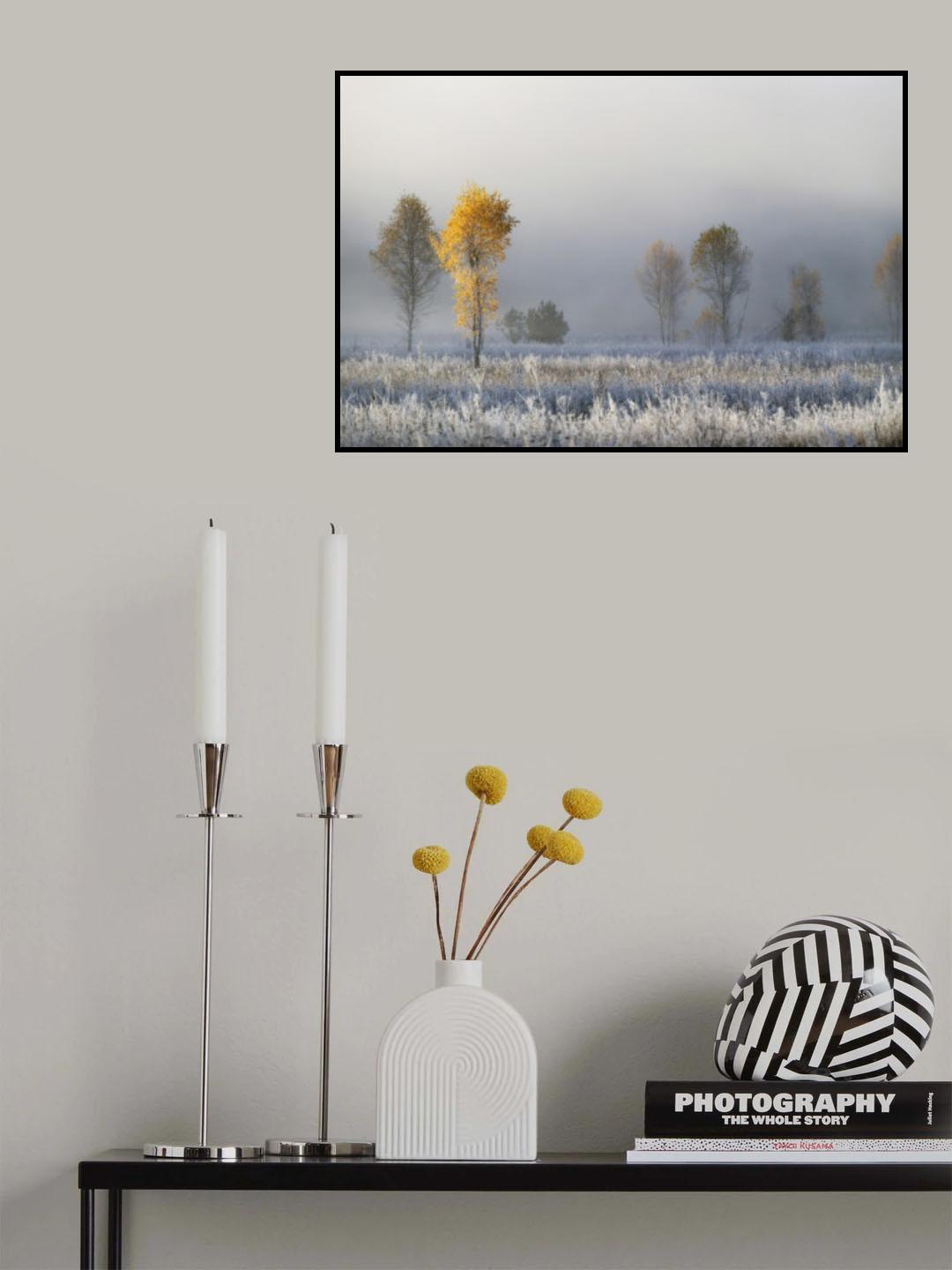 Frozen birches Poster och Canvastavla