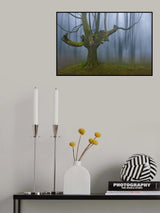 Madarixa Poster och Canvastavla