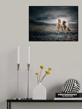The brothers Poster och Canvastavla