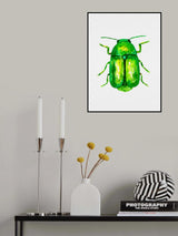 Cylindrical leaf beetle or Cryptocephalus sericeus Poster och Canvastavla