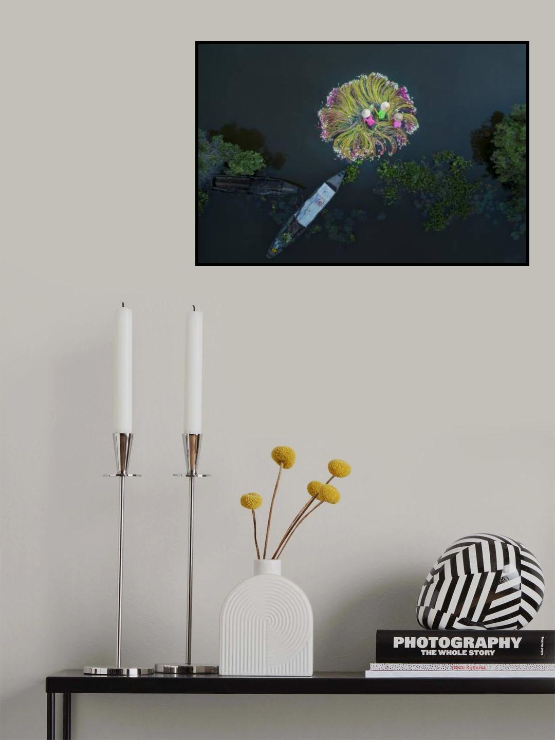 Flowers on the water Poster och Canvastavla