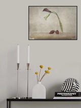 Lilies Poster och Canvastavla