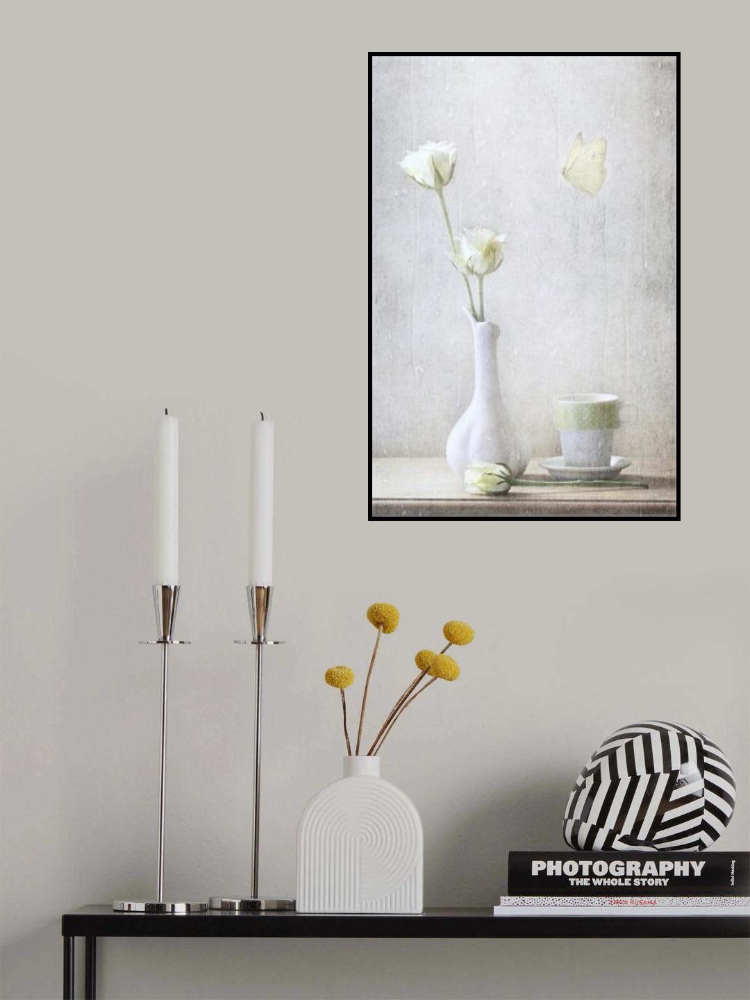 Soft White Petals Poster och Canvastavla