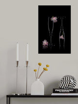 Pink Peruvian-lily Poster och Canvastavla