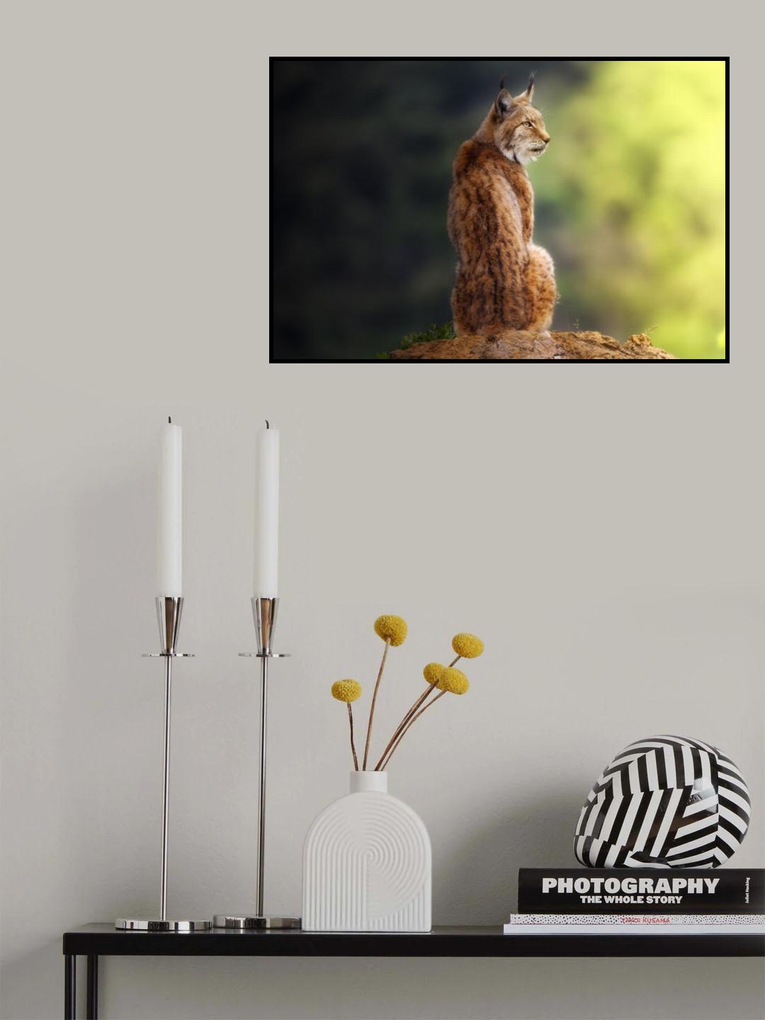 Small great feline Poster och Canvastavla