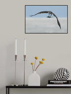 Bloody Catch Poster och Canvastavla