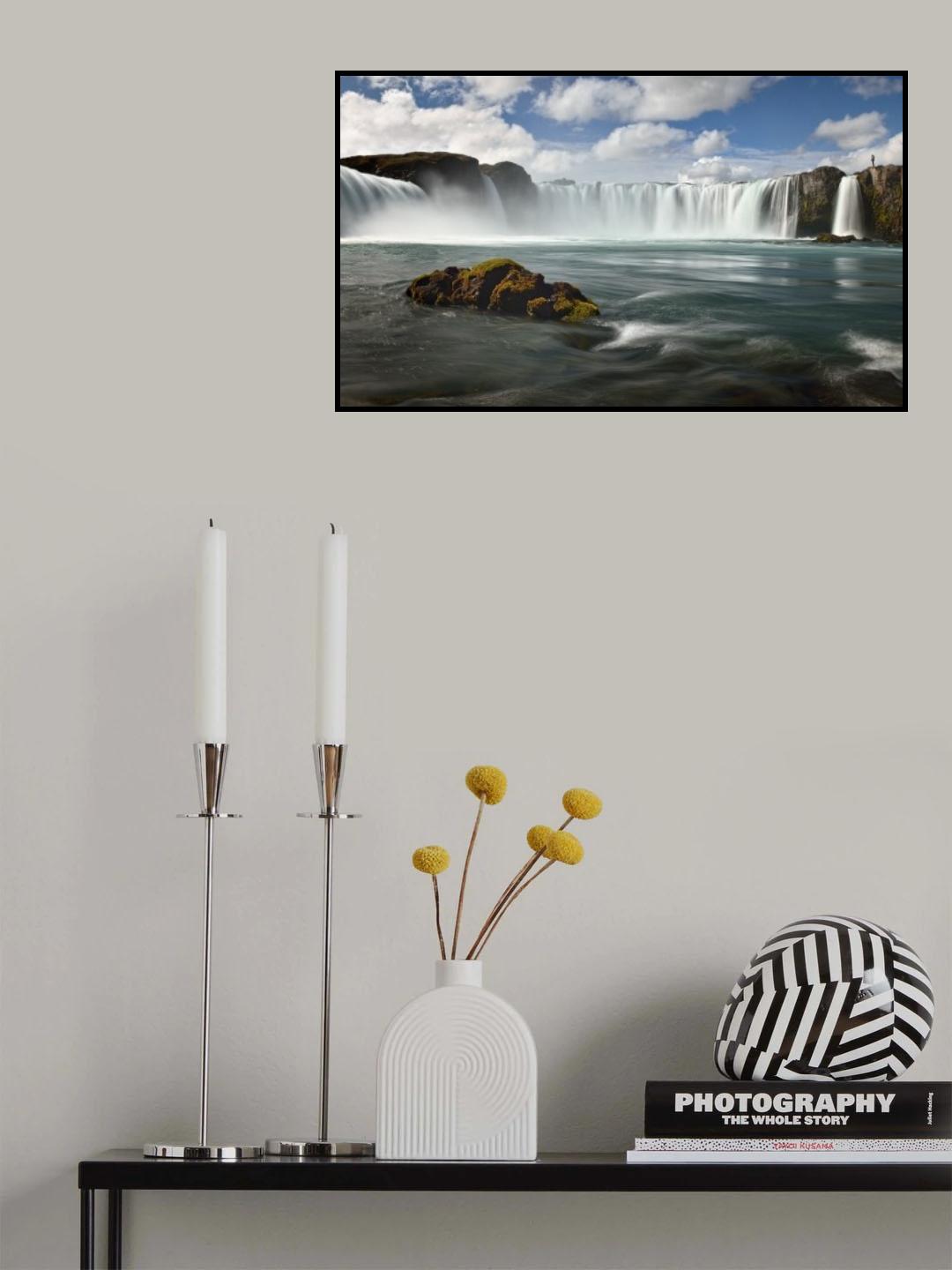 Admirer Poster och Canvastavla
