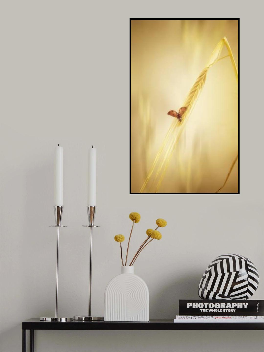 l'envol Poster och Canvastavla