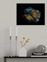 My Dress Poster och Canvastavla