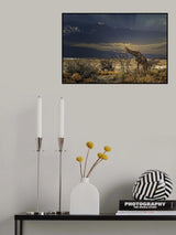 sunrise in Etosha NP Poster och Canvastavla