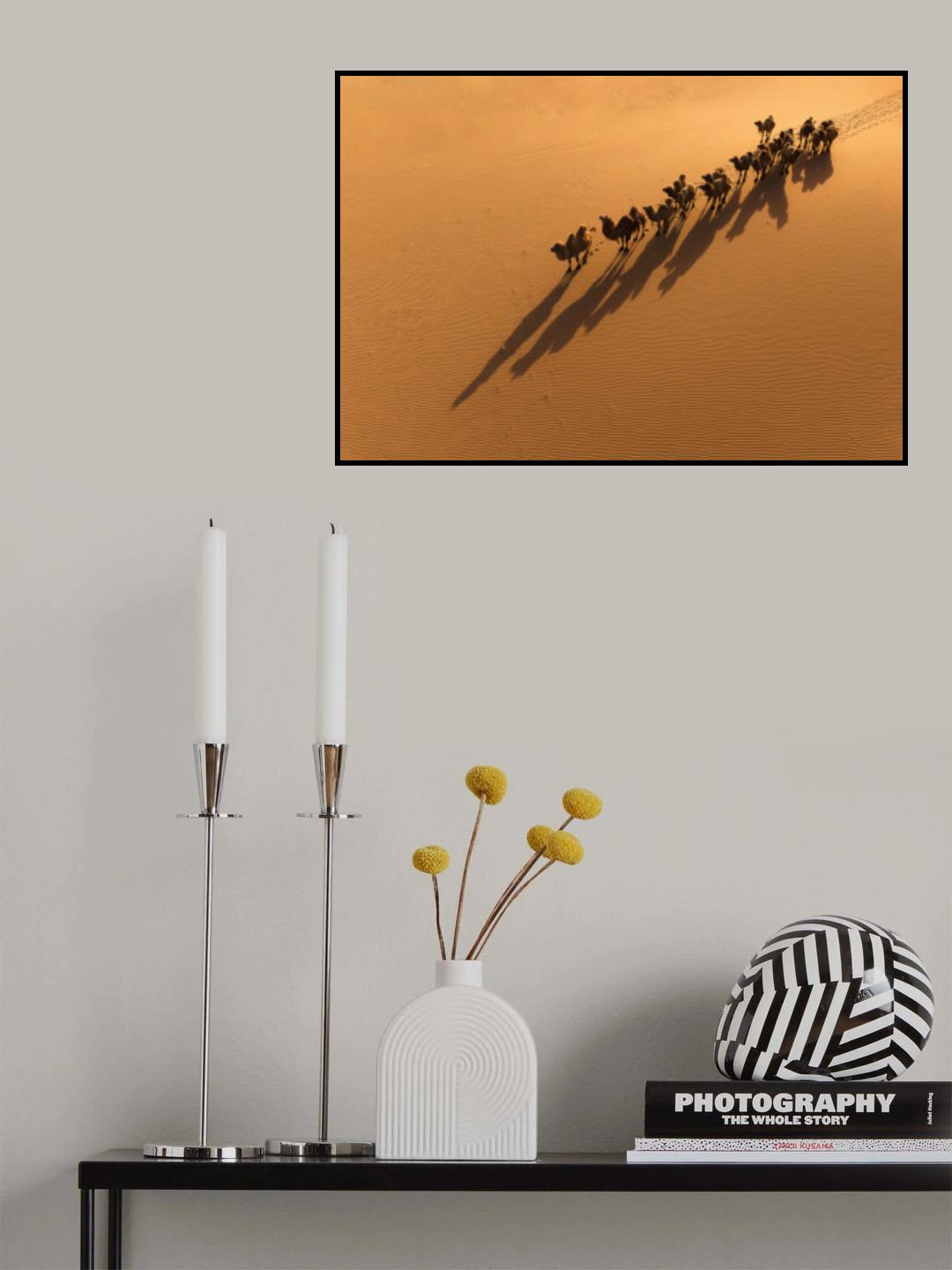 The Camel and the Shadow Poster och Canvastavla
