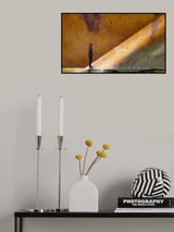 Examening the abstraction Poster och Canvastavla