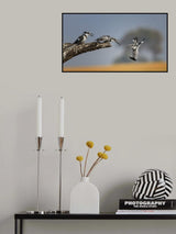 Kingfisher Poster och Canvastavla