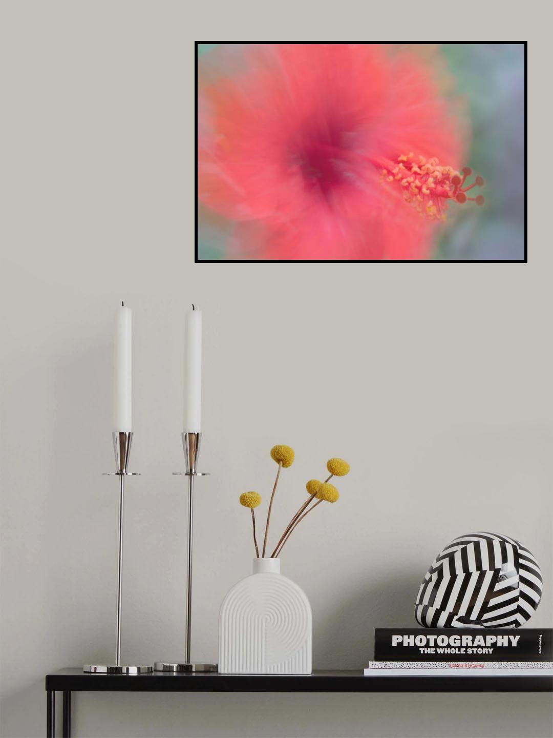 Flowers from our garden (Lomé) - Malvaceae Poster och Canvastavla