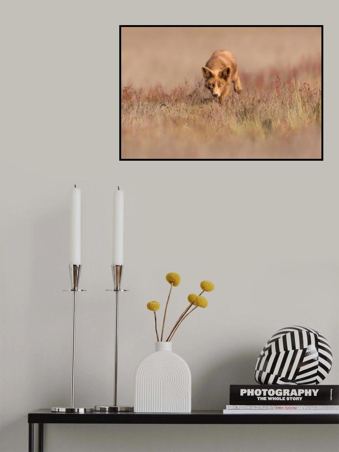 Wondering Poster och Canvastavla