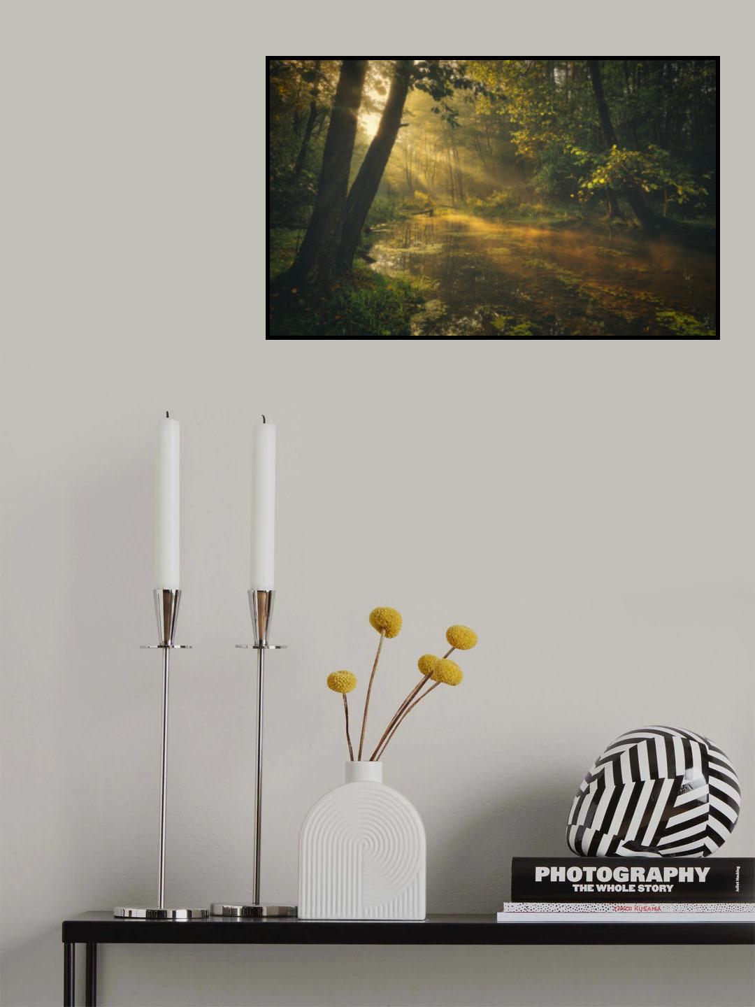 Deep in the forest Poster och Canvastavla