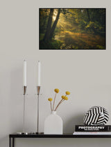 Deep in the forest Poster och Canvastavla