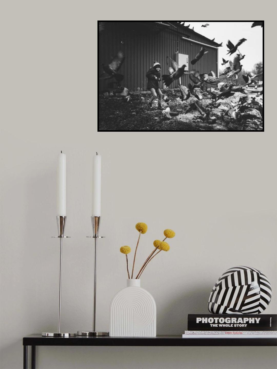 The Boy &amp; the Birds Poster och Canvastavla