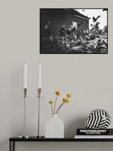 The Boy &amp; the Birds Poster och Canvastavla
