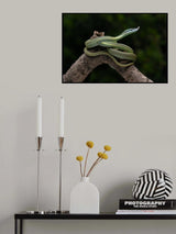 green snake Poster och Canvastavla
