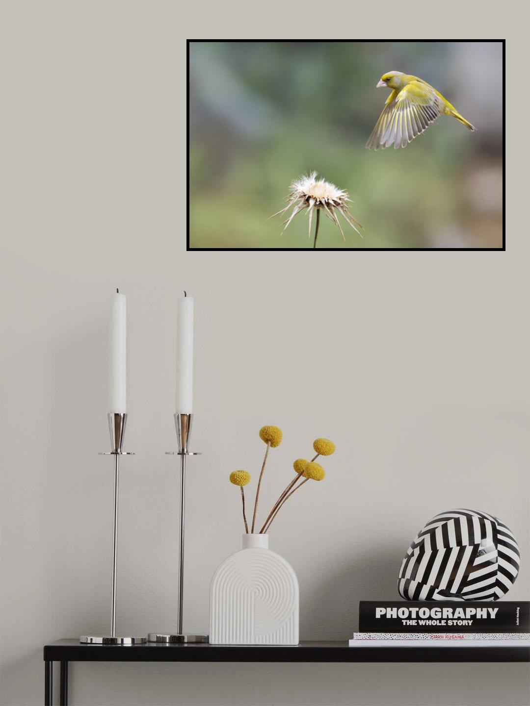 Poster och Canvastavla