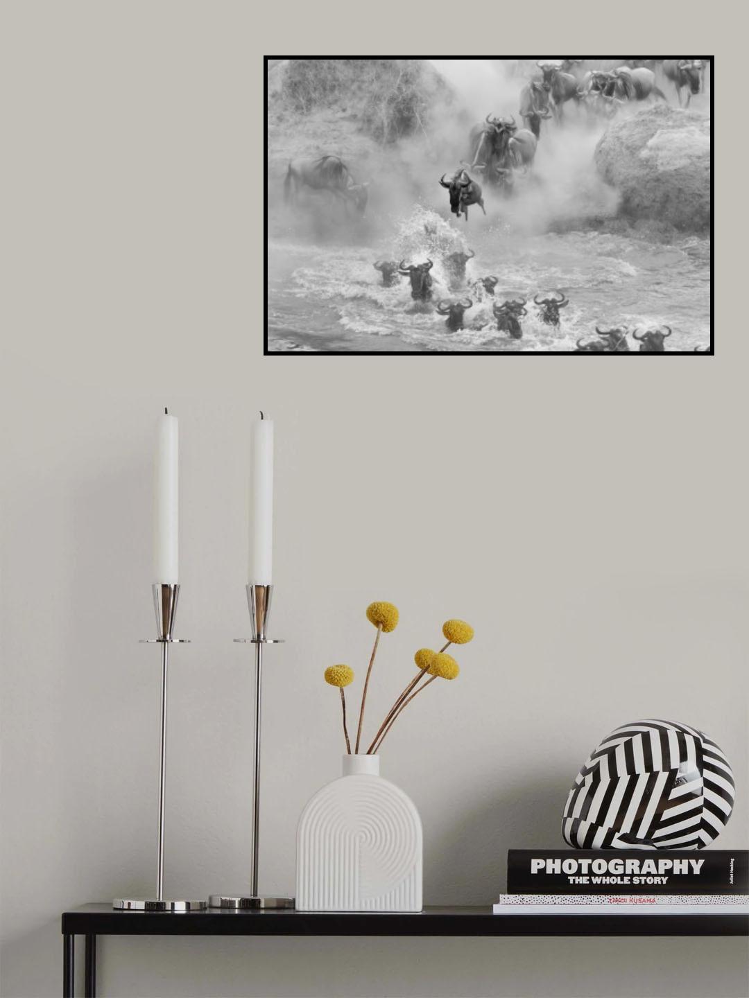 Jump Poster och Canvastavla
