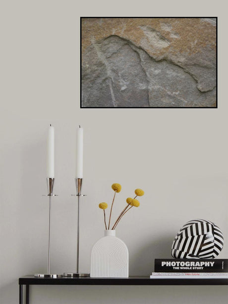 Tex Surface S30 Poster och Canvastavla