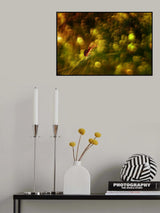 Hot Day Poster och Canvastavla