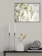 Grass blades Poster och Canvastavla