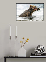 Poster och Canvastavla