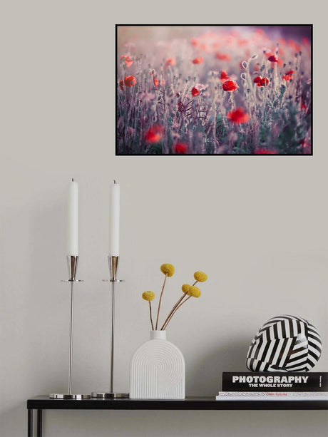 Poppy Meadow Poster och Canvastavla