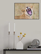 How's My Teeth Poster och Canvastavla