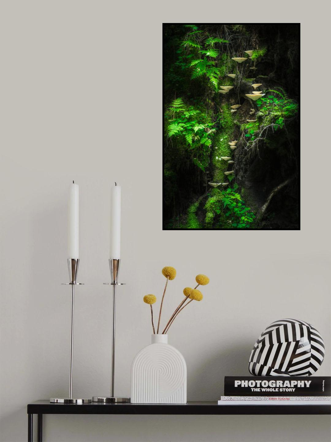 Mushroom Wall Poster och Canvastavla