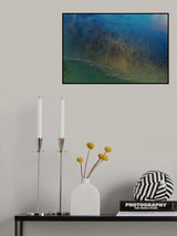 Giant aquatic plants Poster och Canvastavla