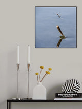 Moment of life and death Poster och Canvastavla