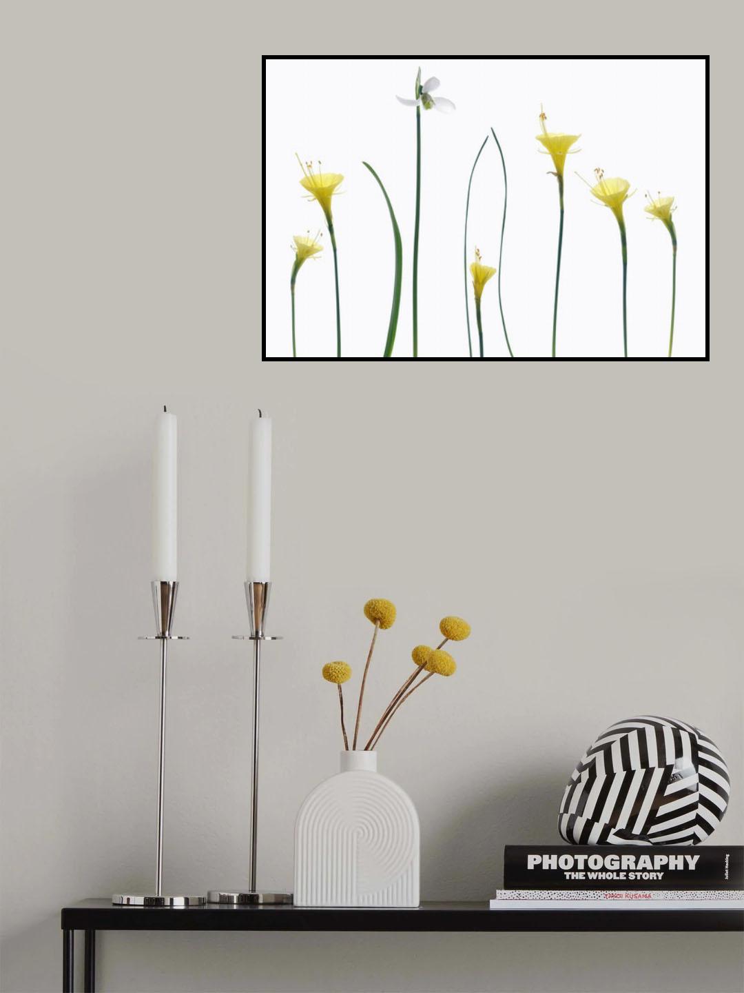 Spring flowers Poster och Canvastavla