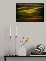 Pole &amp; Tree Poster och Canvastavla
