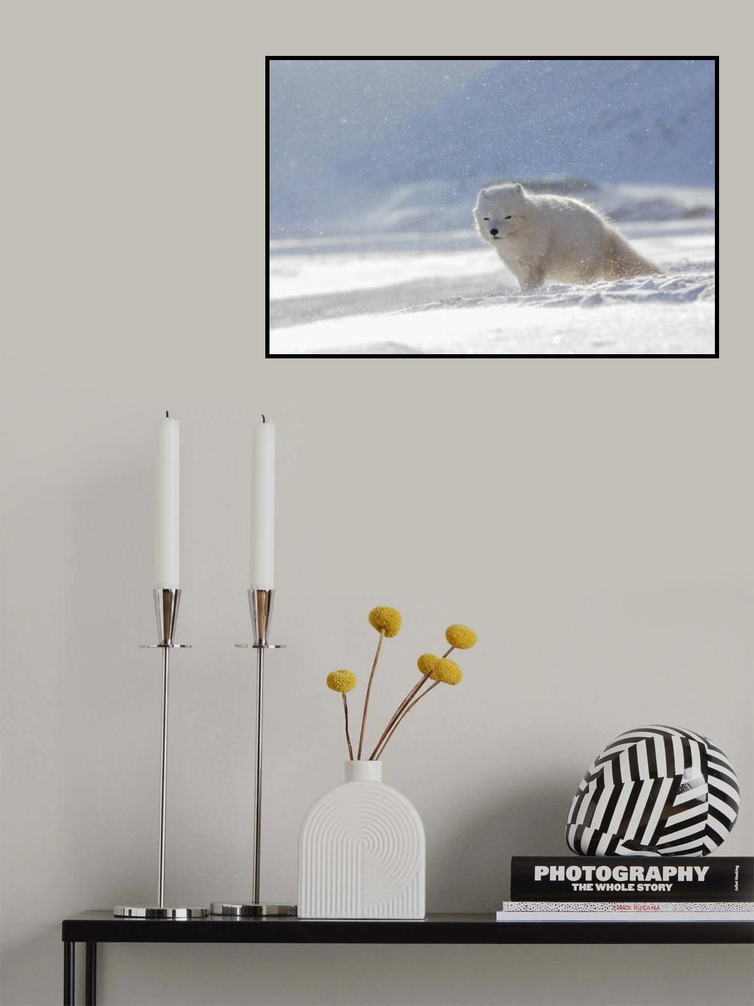 nella bufera Poster och Canvastavla
