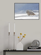 nella bufera Poster och Canvastavla
