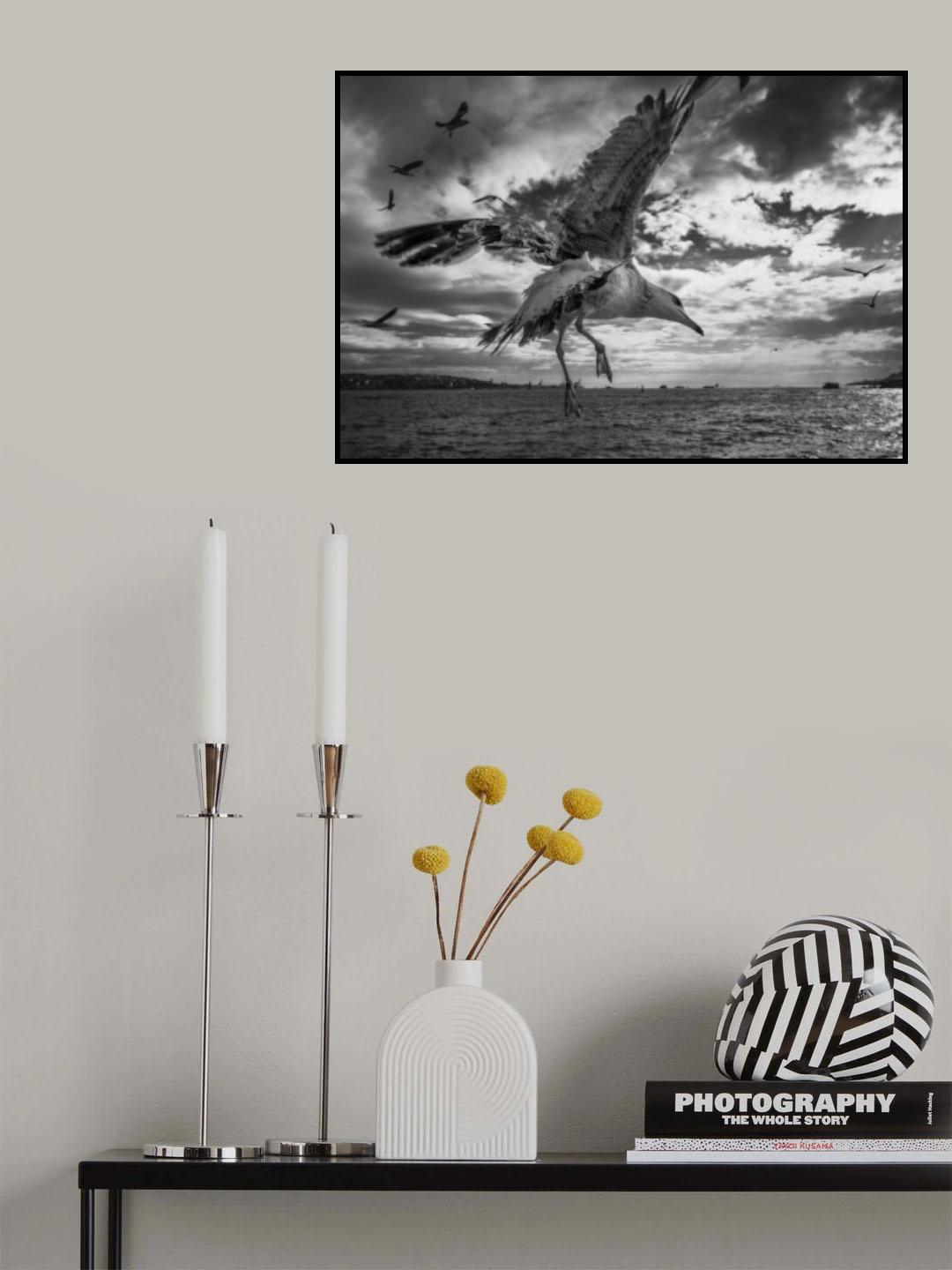 Landing Position Poster och Canvastavla