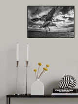 Landing Position Poster och Canvastavla