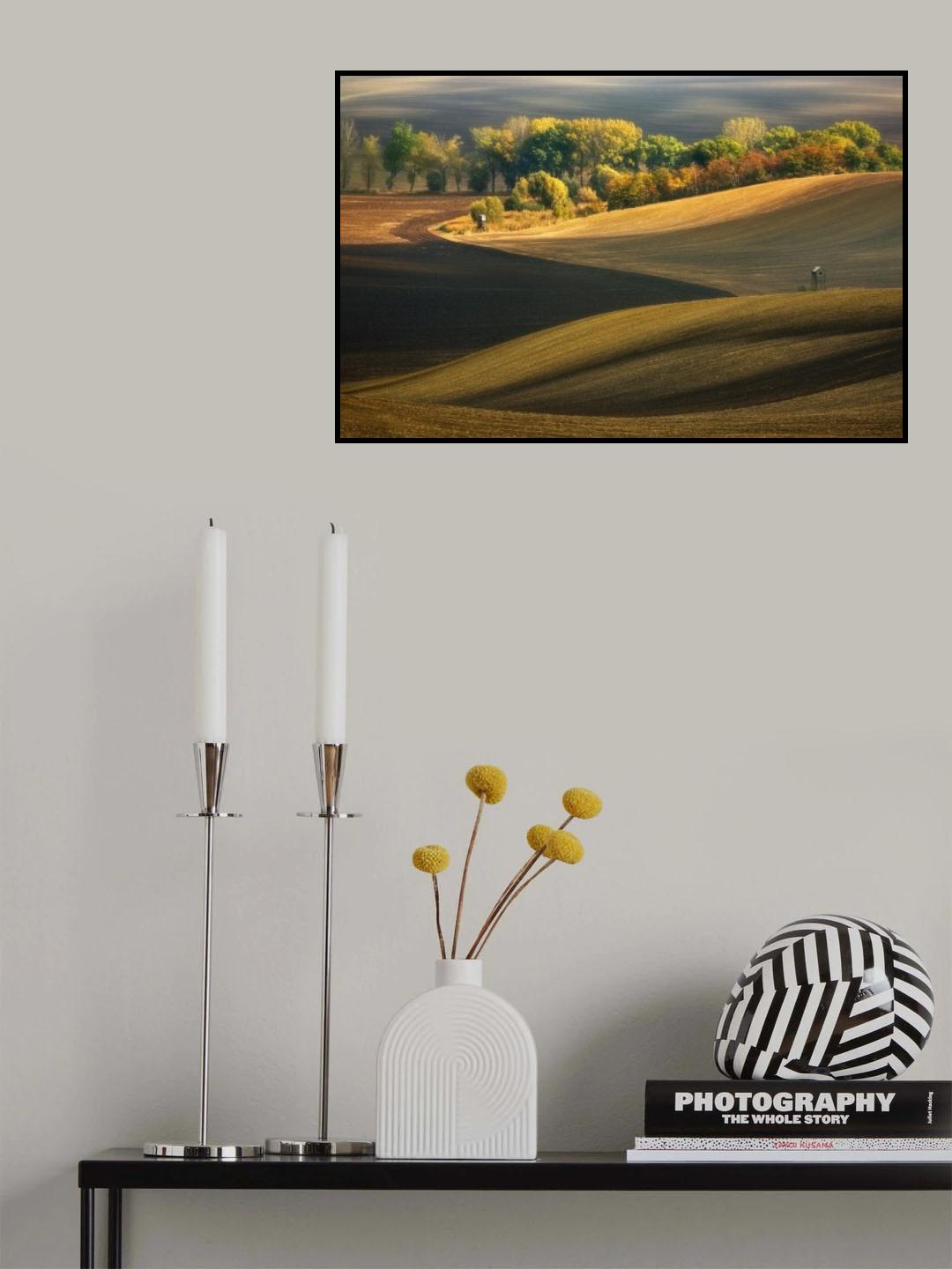 Autumn fields... Poster och Canvastavla