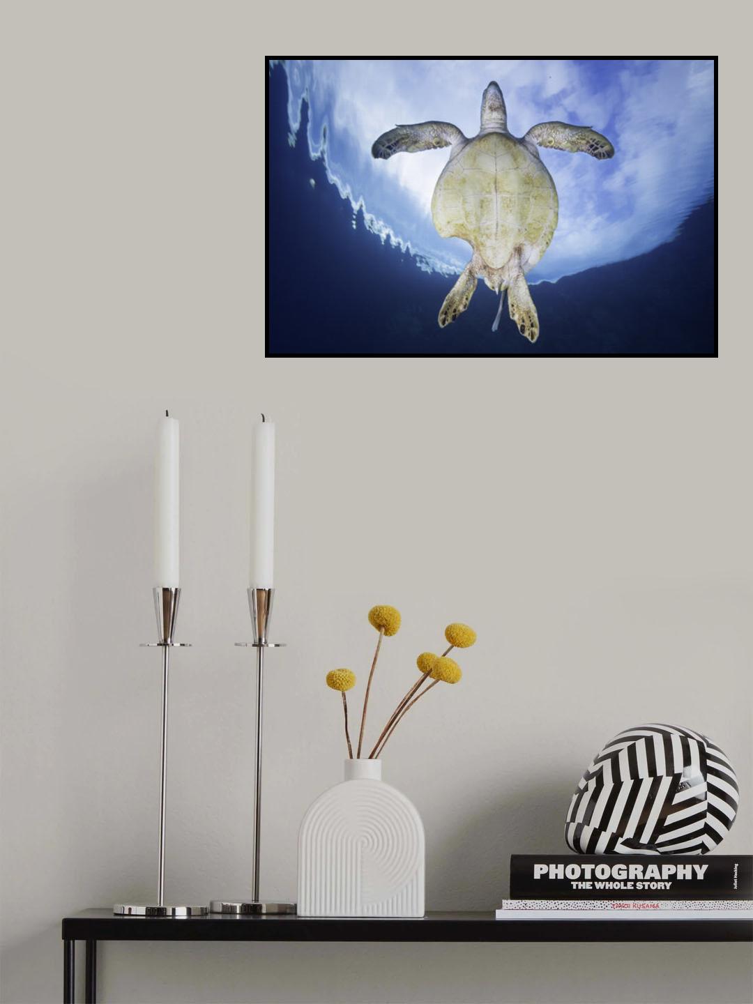 Shark attack survivor Poster och Canvastavla