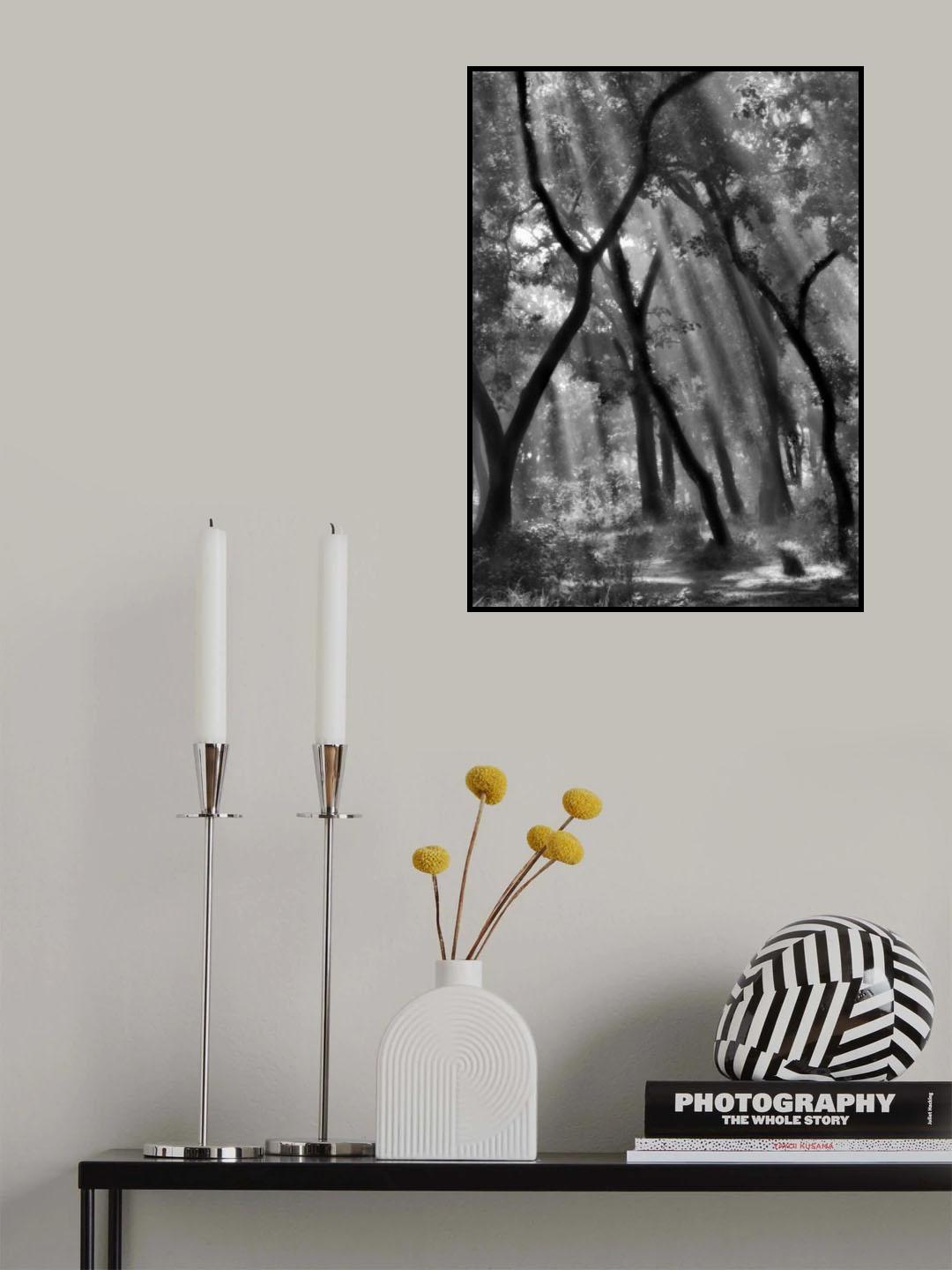 Enchanted forest ... Poster och Canvastavla
